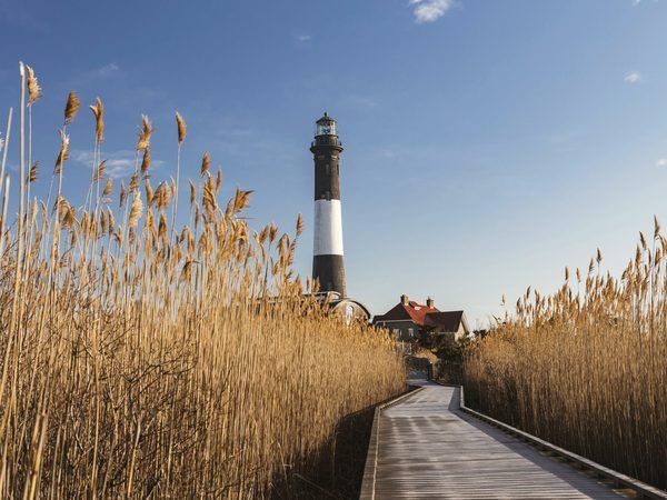 The boardwalk through beach grass to the Fire Island Lighthouse