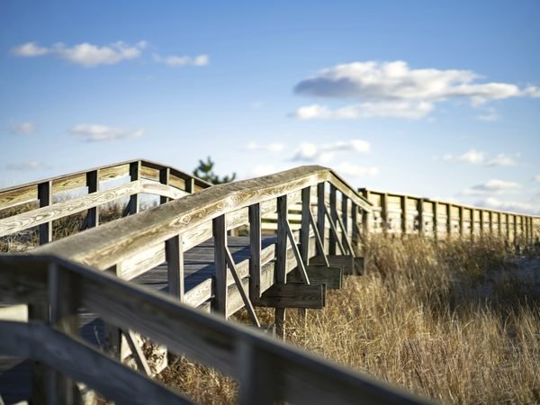 A wooden beach walkway over the dune grass in Long Beach